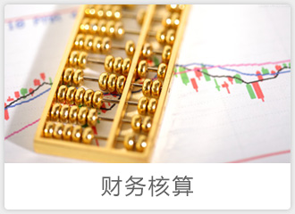 財(cái)務(wù)核算