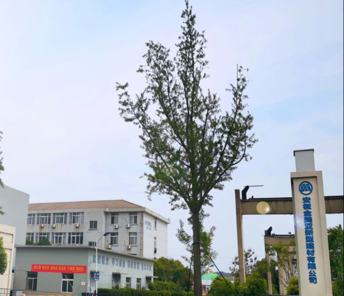 U9Cloud：領(lǐng)興科技助力金美亞集團(tuán)信息化項(xiàng)目成功簽約并啟動(dòng)運(yùn)行